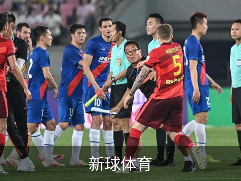 了解新球体育